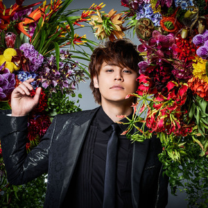 成人欧美黄色A片
