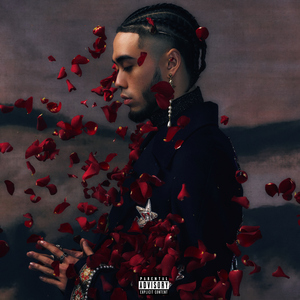 成人欧美黄色A片
