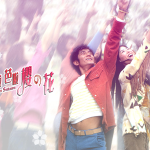 成人欧美黄色A片
